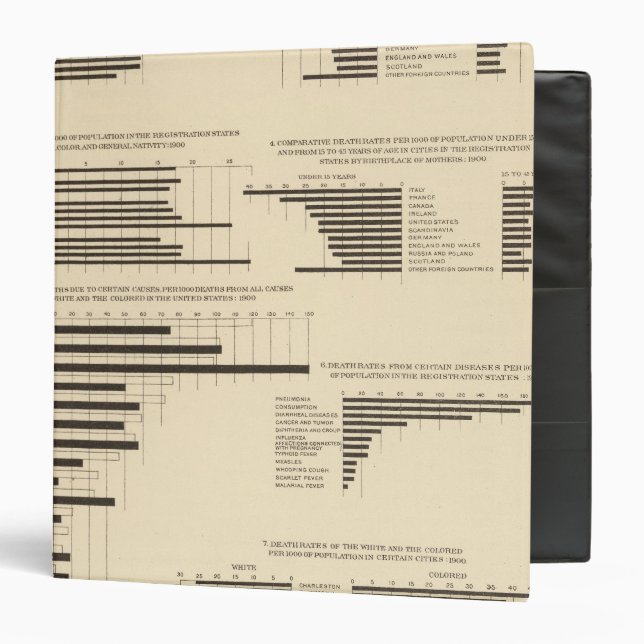 111 Death rates 1900 Binder (Front/Inside)