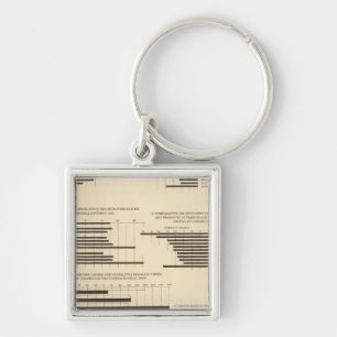 111 Death rates 1900 Keychain