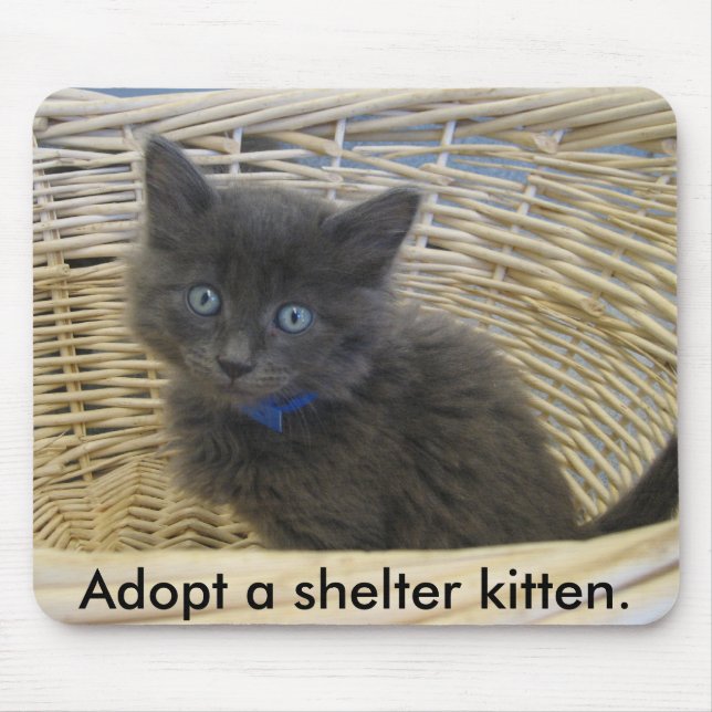 112907 petfinder 028, Adopt a shelter kitten. Mouse Pad (Front)
