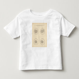 113 Deaths by month 1900 Toddler T-shirt