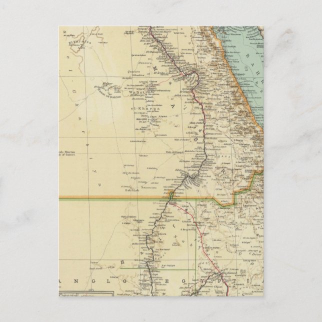 115 Egypt Postcard (Front)