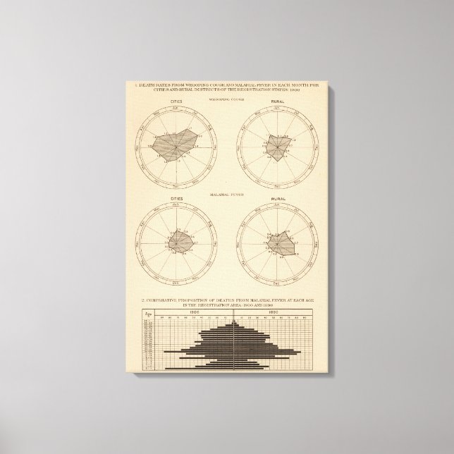 116 Deaths whooping cough Canvas Print (Front)