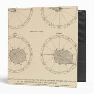 117 Deaths influenza, typhoid fever 1900, 1890 Binder