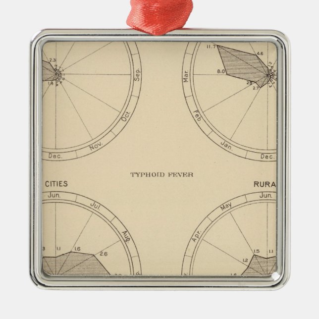 117 Deaths influenza, typhoid fever 1900, 1890 Metal Ornament (Front)