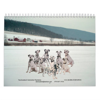 11-2008_02, The Double D Dalmatian... - Customized Calendar