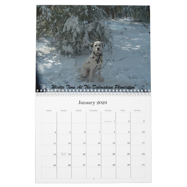 11-2008_02, The Double D Dalmatian... - Customized Calendar (Jan 2026)