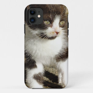 11 Baby Tuxedo Kitten - Cat iPhone 5 Coque