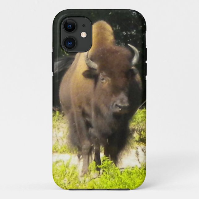 11 Bison iPhone 5 coque (Dos)