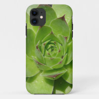 coque iphone succulent