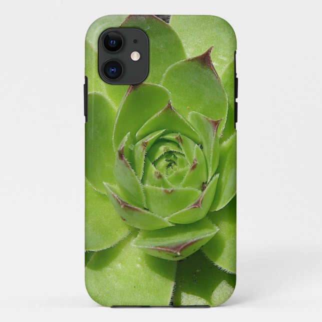 11 coque iphone succulent (Dos)