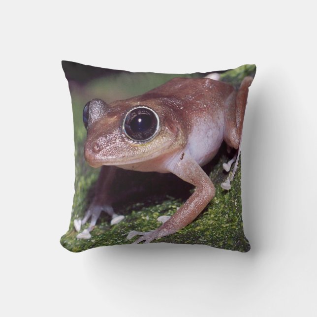 #11-female tree frog throw pillow (Front)