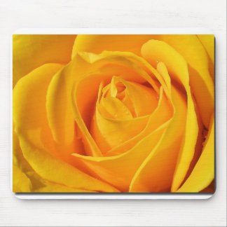 11 MOUSE PAD
