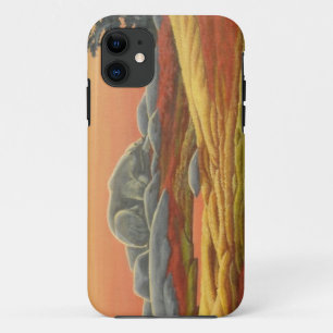11 Ours polaire IPhone 5 Coque Faune Art Ours Cadeaux