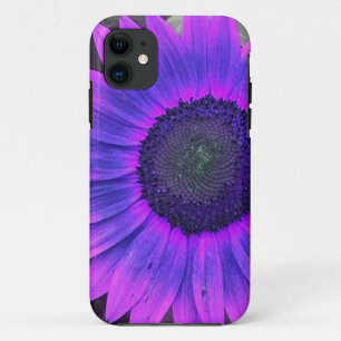 11 Pink N violet tournesol iPhone 5 coque