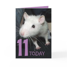 11 today (customizable) Husky rat Birthday Card