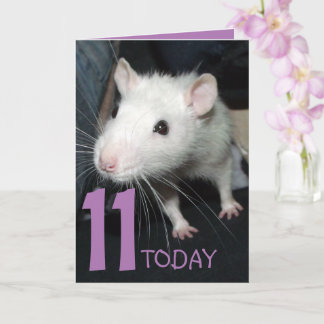 11 today (customizable) Husky rat Birthday Card