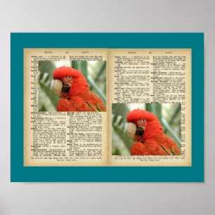 11" x 8.5", Poster (Bird And Text Vintage Designs)