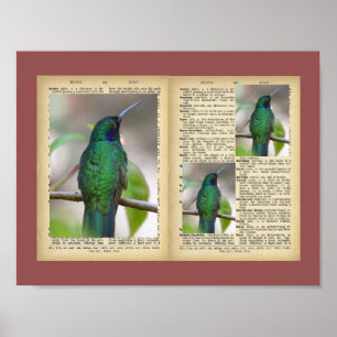 11" x 8.5", Poster (Bird And Text Vintage Designs)