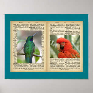 11" x 8,5", Poster (Oiseaux Et Textes Vintages)
