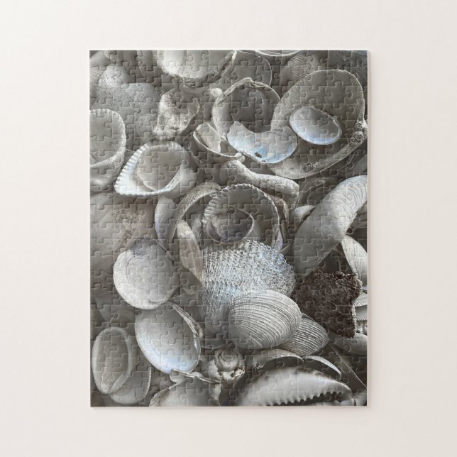 11x14 Shells Puzzle for Colorblind People (Vertical)