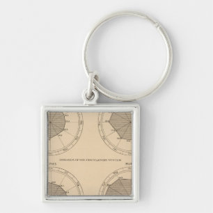 122 Deaths diseases nervous & circulatory system Keychain
