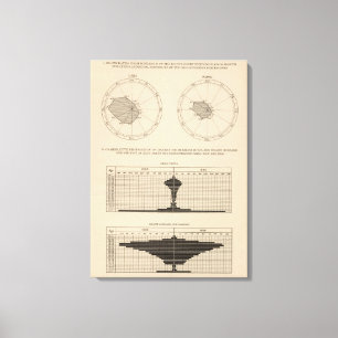 123 Deaths diseases respiratory system, bronchitis Canvas Print