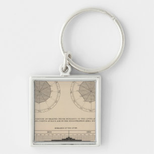 124 Deaths diseases digestive system, liver Keychain