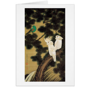 12. 老 松 鸚 鵡 図, 冲 Pin-tree & Parrot, Jakuchu, 若