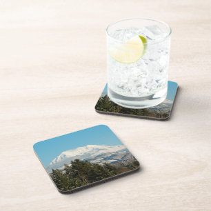 12/22/2014 COASTER