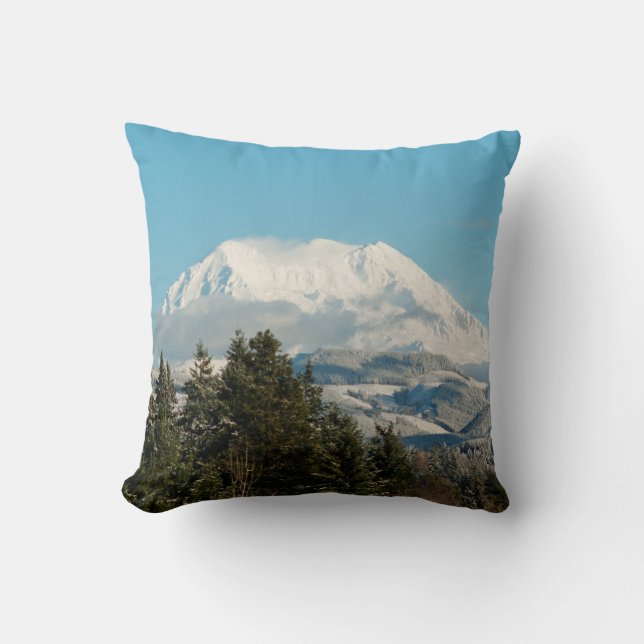12/22/2014 THROW PILLOW (Front)