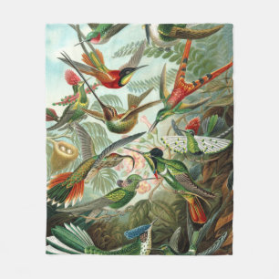 12 american humming birds breeds painted drawn fleece blanket