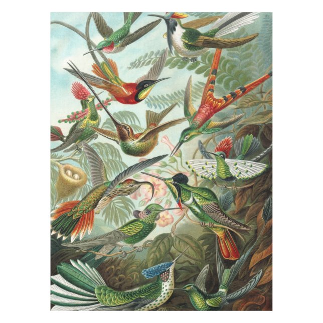 12 american humming birds breeds painted drawn tablecloth (Front)