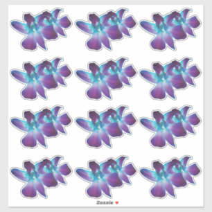 12 autocollants Kiss-Cut de fleurs d'orchidée Dend