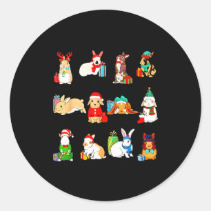 12 Bunny Of Christmas Bunny Rabbit Christmas Xmas Classic Round Sticker