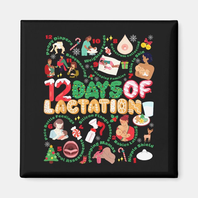 12 Day Of Ibclc Lactation Consultant Breastfeeding Magnet (Front)