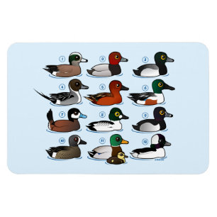 12 Ducks Magnet