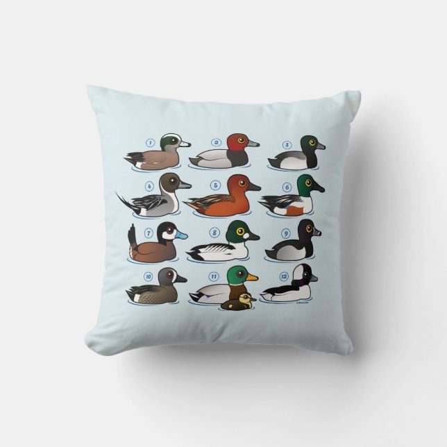12 Ducks with Key Throw Pillow (Front)