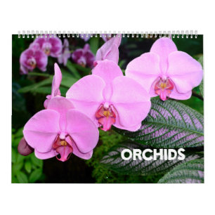 12 mois Calendrier des orchidées