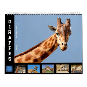 12 mois calendrier girafe
