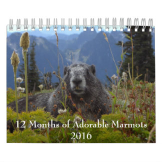 12 mois de marmottes adorables 2016 Calendrier