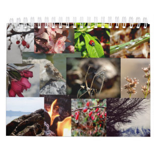 12 mois du calendrier de Français d'année