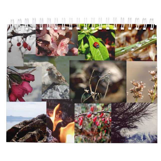 12 mois du calendrier de la Nouvelle Zélande (Dos)