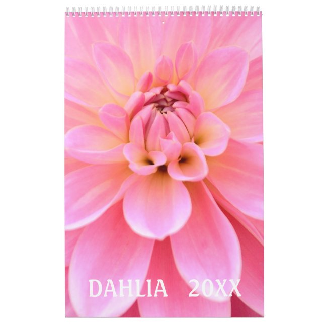 12 month Beautiful Dahlia Photo Calendar (Cover)