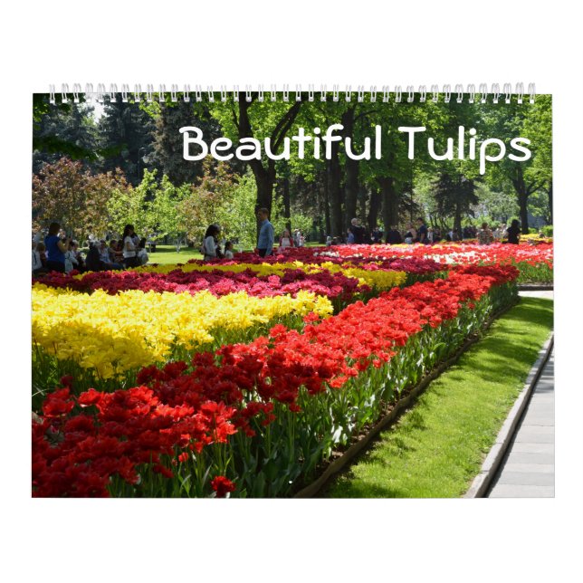 12 month Beautiful Tulips Calendar (Cover)