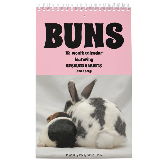 12-Month Bunny Calendar (Cover)
