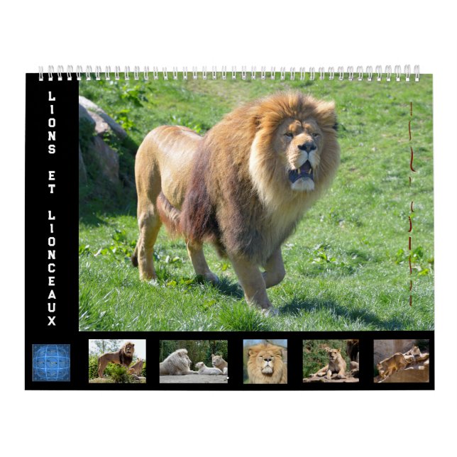 12 month calendar Lion family (Cover)