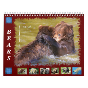 12 month calendar various bears
