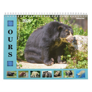 12 month calendar various bears 