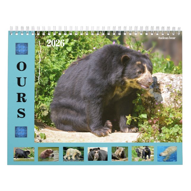 12 month calendar various bears  (Cover)
