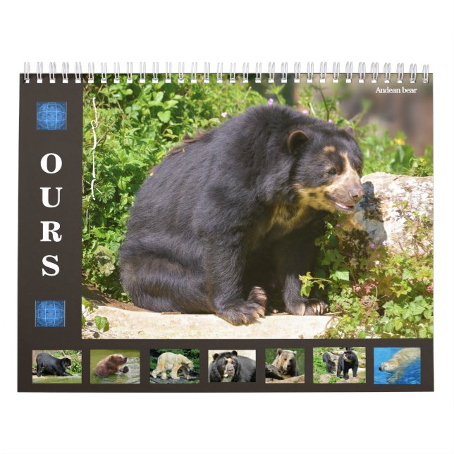 12 month calendar various bears  (Cover)